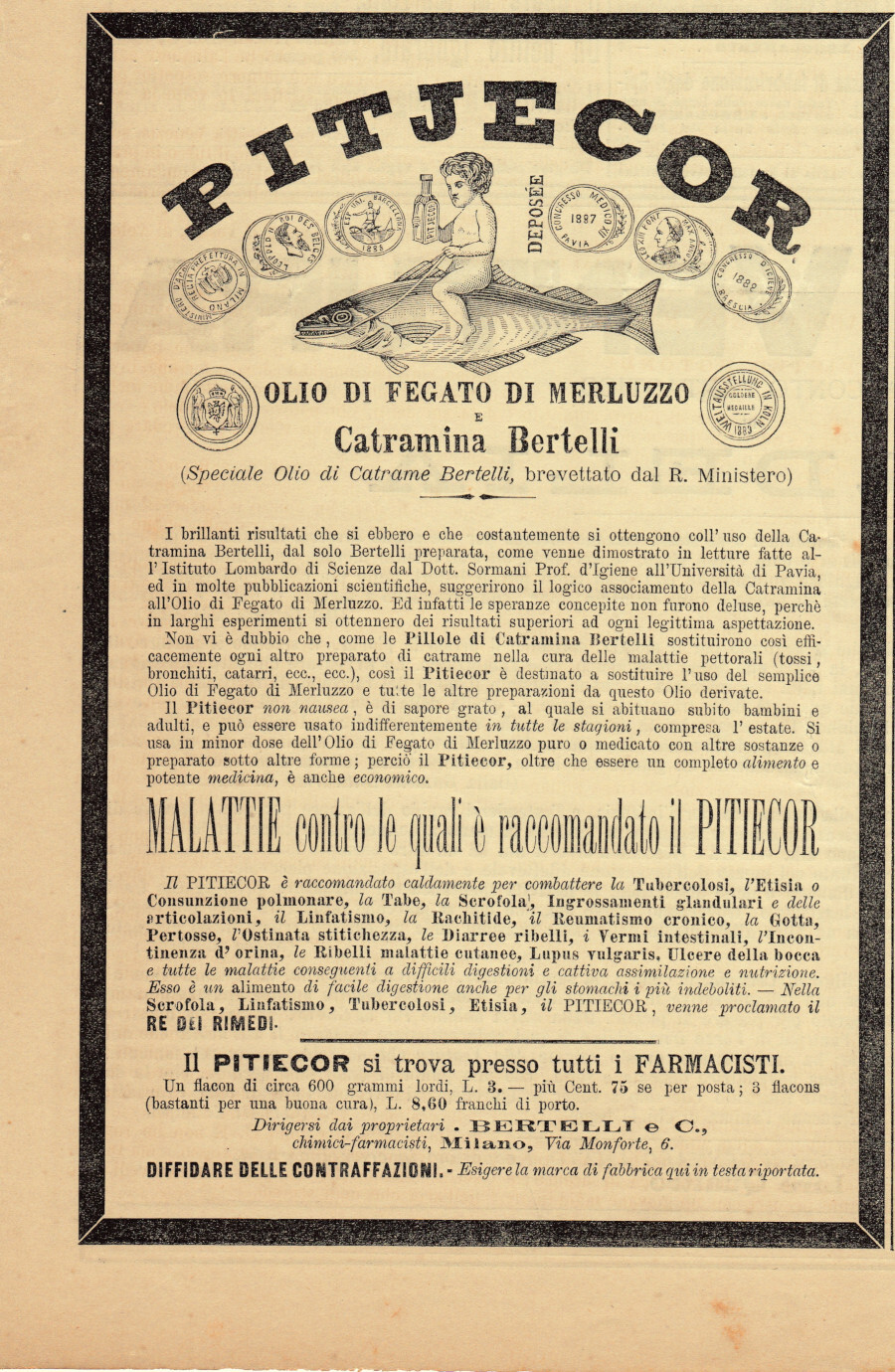 Pitjecor, olio di fegato di merluzzo. Bertelli Milano. Advertising 1889