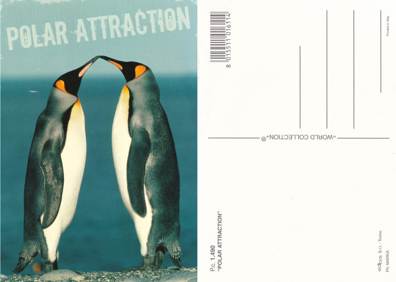 Polar Attraction. Non viaggiata