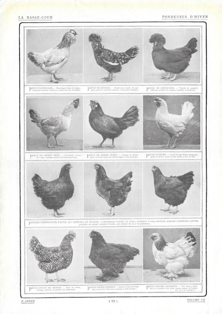 Pondeuses d'Hiver / Paul Blanchemain - Immagine 1910