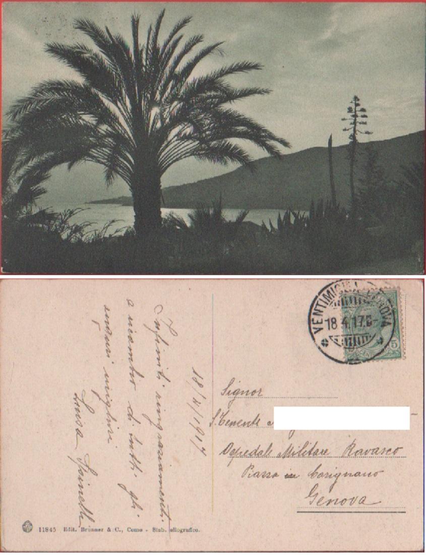 Ponente ligure. Viaggiata 1917
