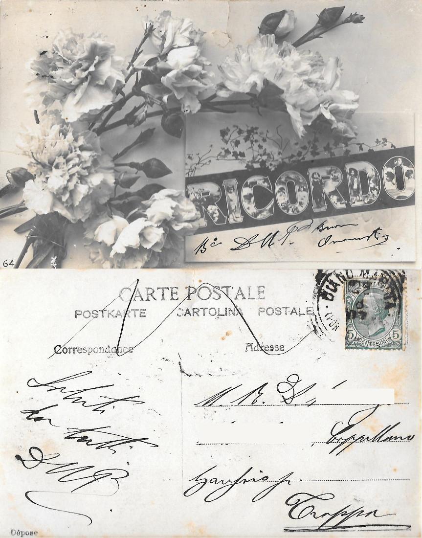 Ricordo. Garofani. Viaggiata 1907