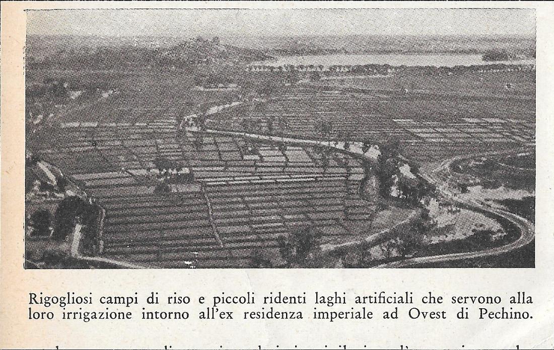 Rigogliosi campi di riso intorno all'ex residenza imperiale ad ovest …