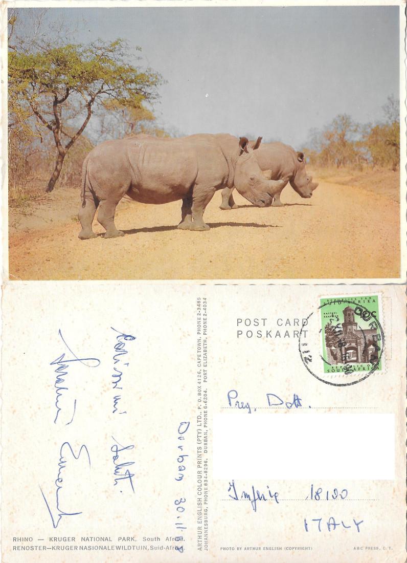 Rinoceronti. Kruger National Park (RSA). Viaggiata 1968