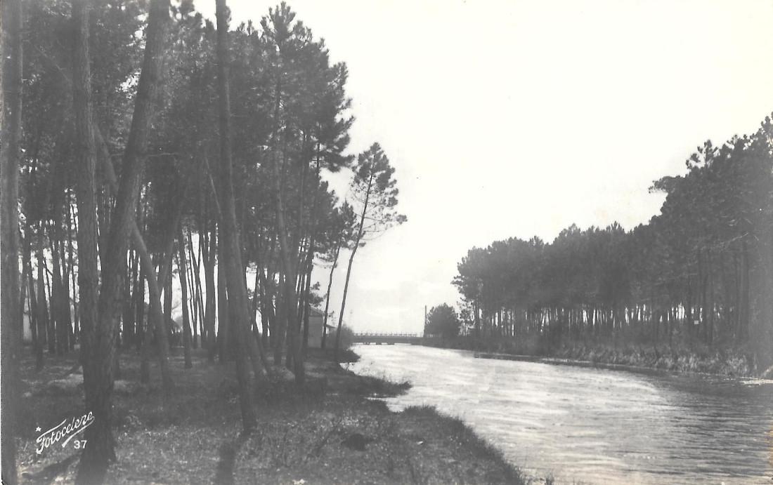 Riva del fiume. Non viaggiata, stampa 1942