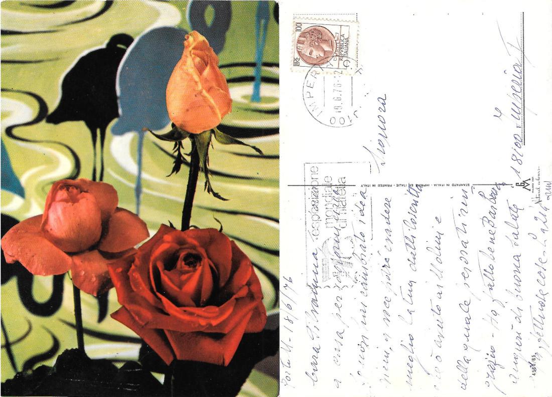 Rose di diverso colore. Viaggiata 1976