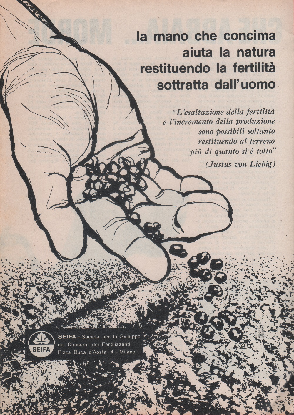 SEIFA. Società per lo Sviluppo dei Consumi dei Fertilizzanti. Advertising …