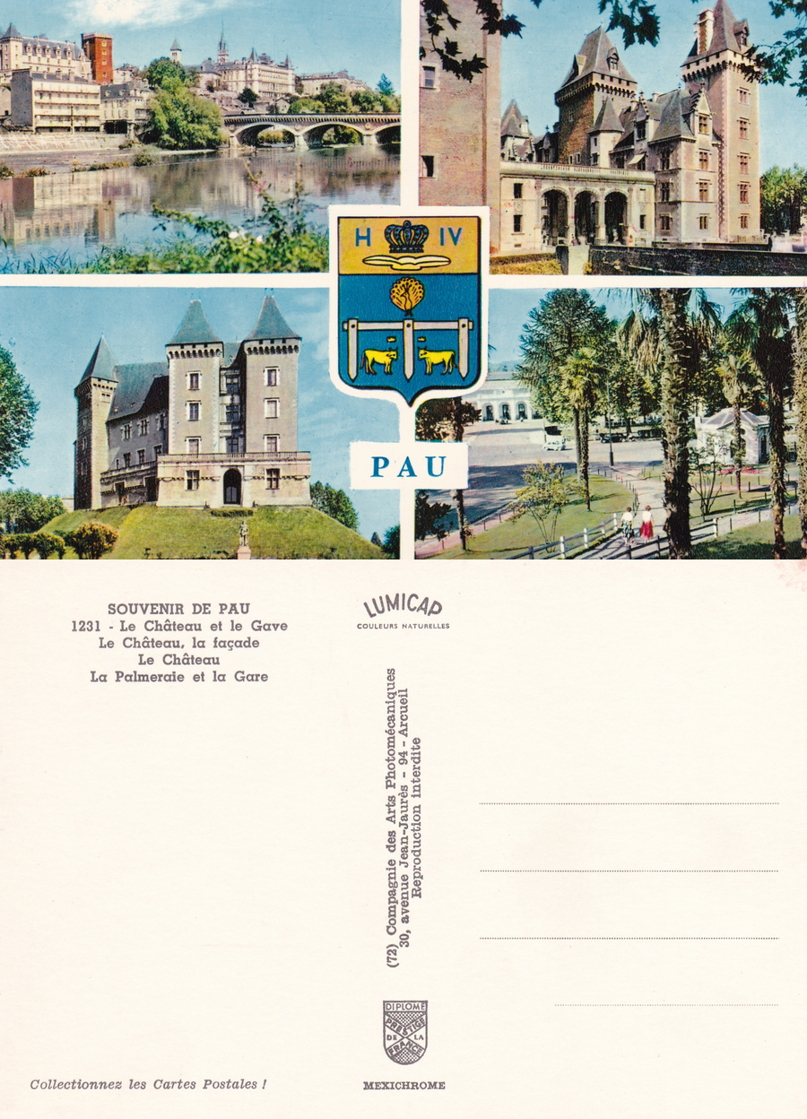 Souvenir de Pau. Non viaggiata