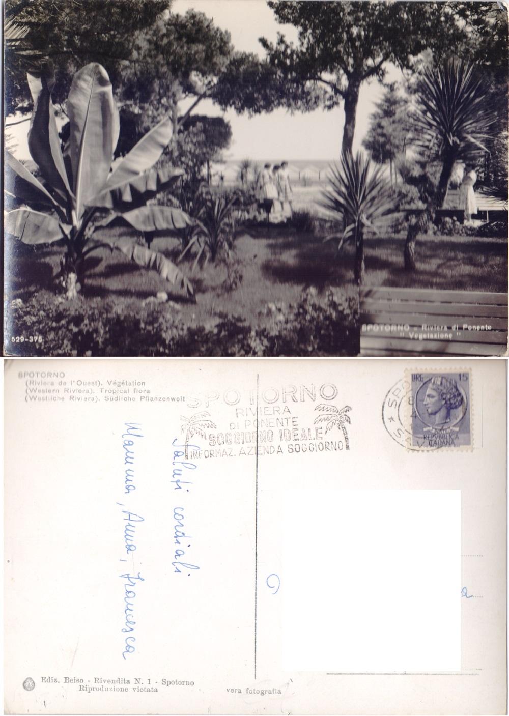 Spotorno. "Vegetazione". Viaggiata