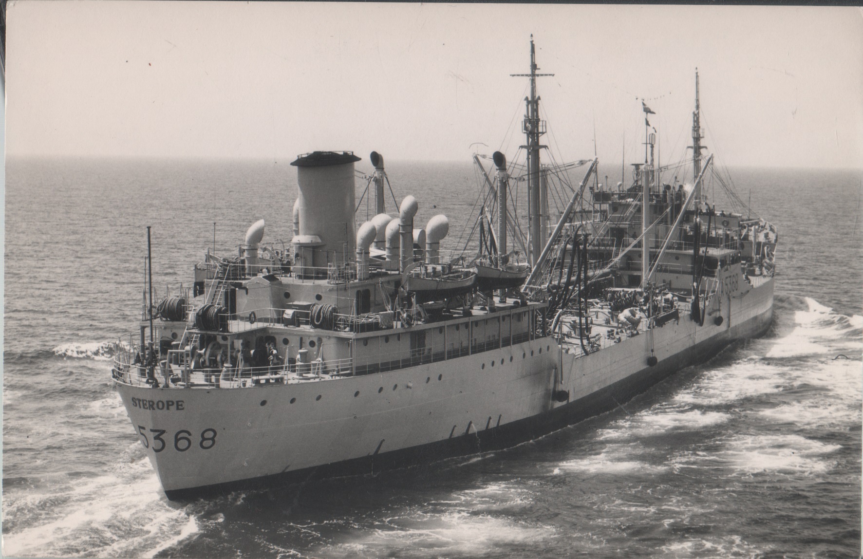 Sterope. Photo (Fraccaroli)