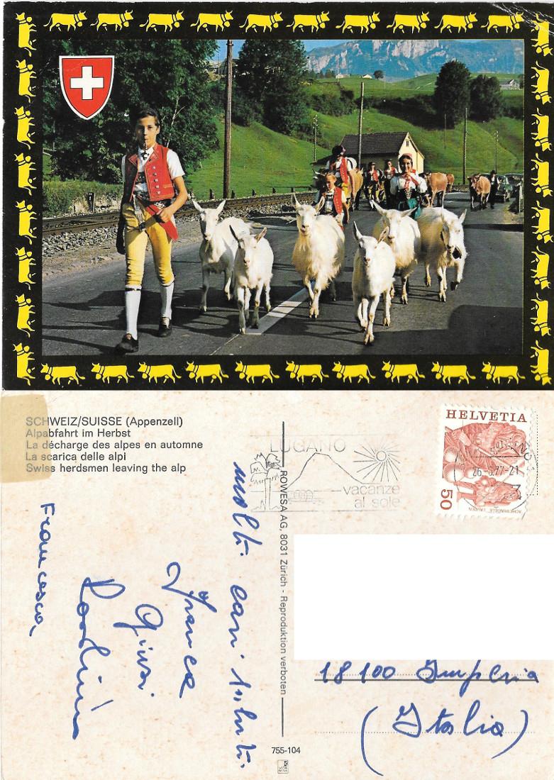 Svizzera. Alpbfahrt im Herbst. Viaggiata 1977