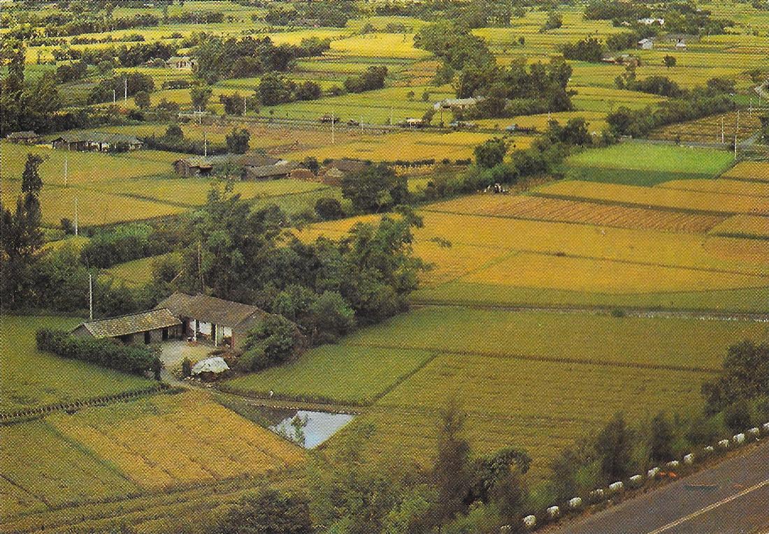 Taiwan. Bird's-view of Taiwan rice paddies. Non viaggiata
