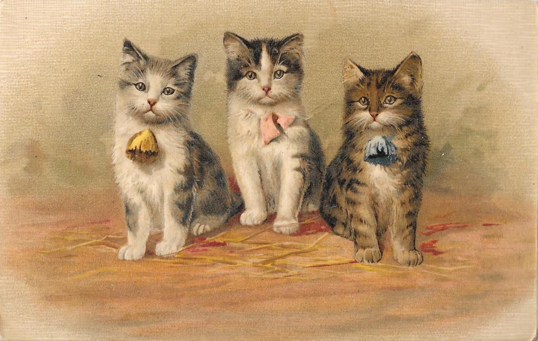 Tre gattini con fiocco. Non viaggiata