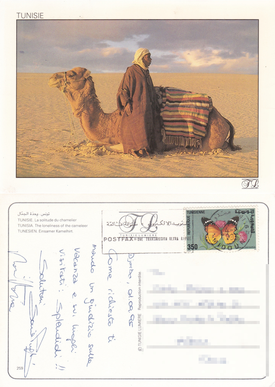Tunisie. La salitude du chamelier. Viaggiata 1995
