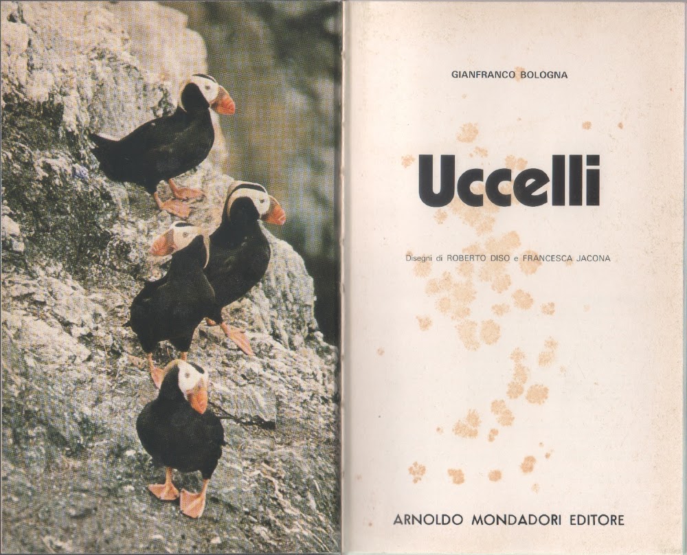 Uccelli - Gianfranco Bologna