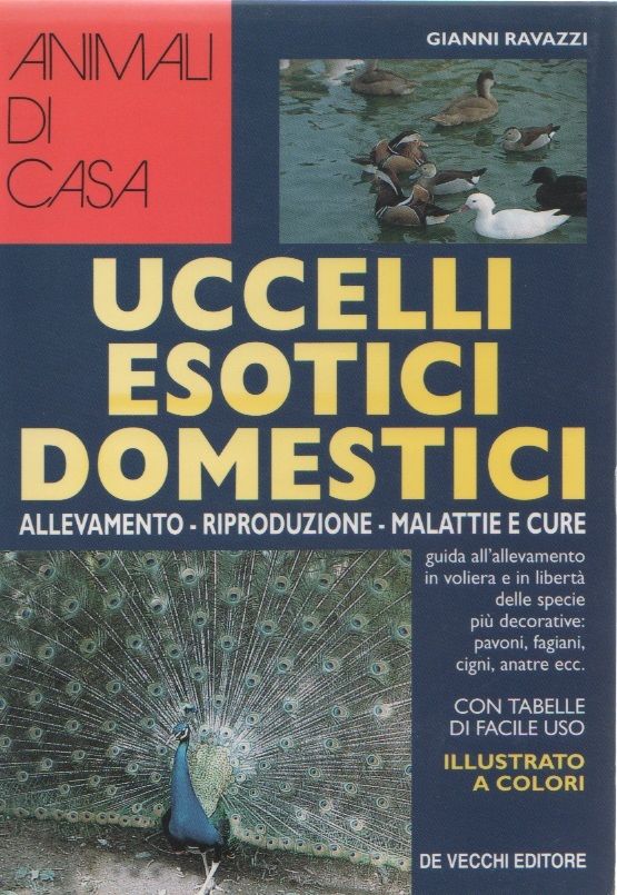 Uccelli esotici domestici - Gianni Ravazzi
