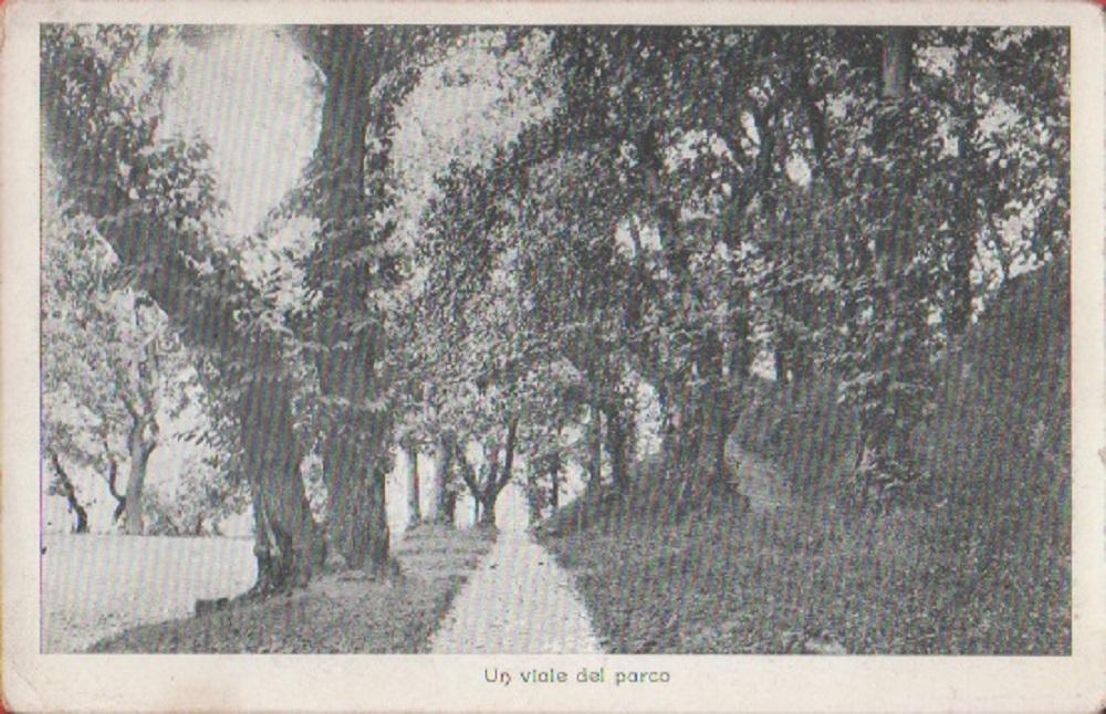 Un viale del parco. Non viaggiata.