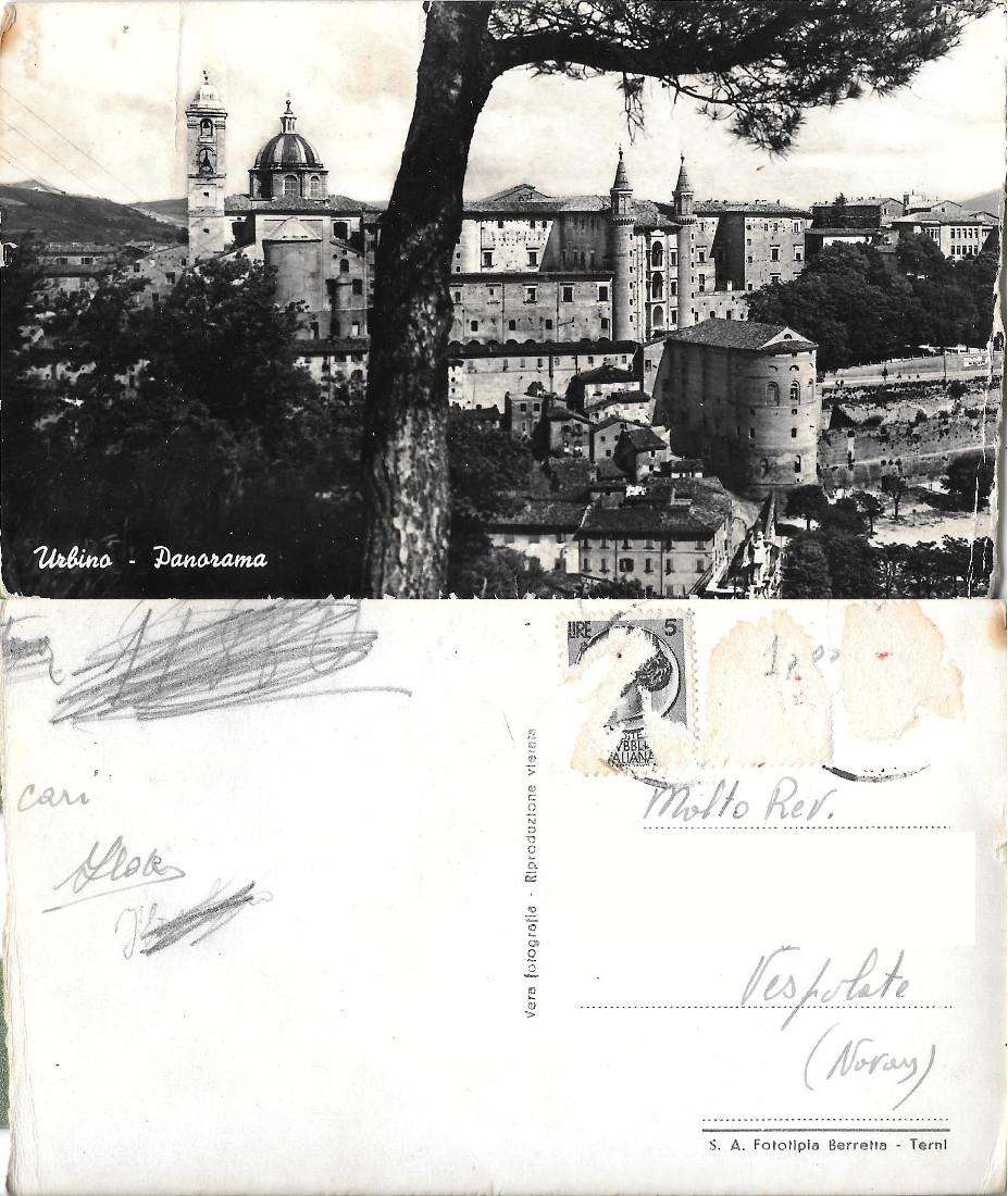 Urbino. Panorama. Ed. Berretta. Viaggiata