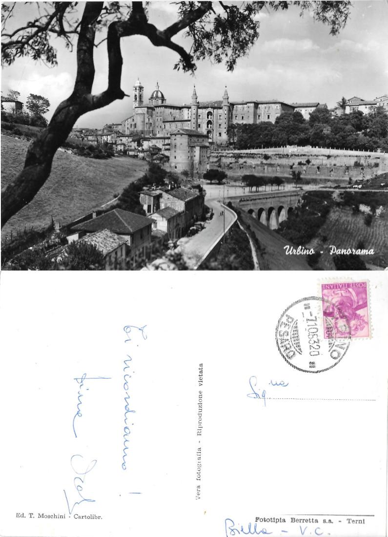 Urbino. Panorama. Viaggiata 1963