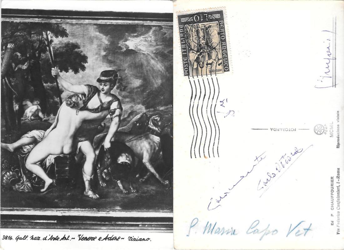 Venere e Adone (Tiziano). Viaggiata 1956
