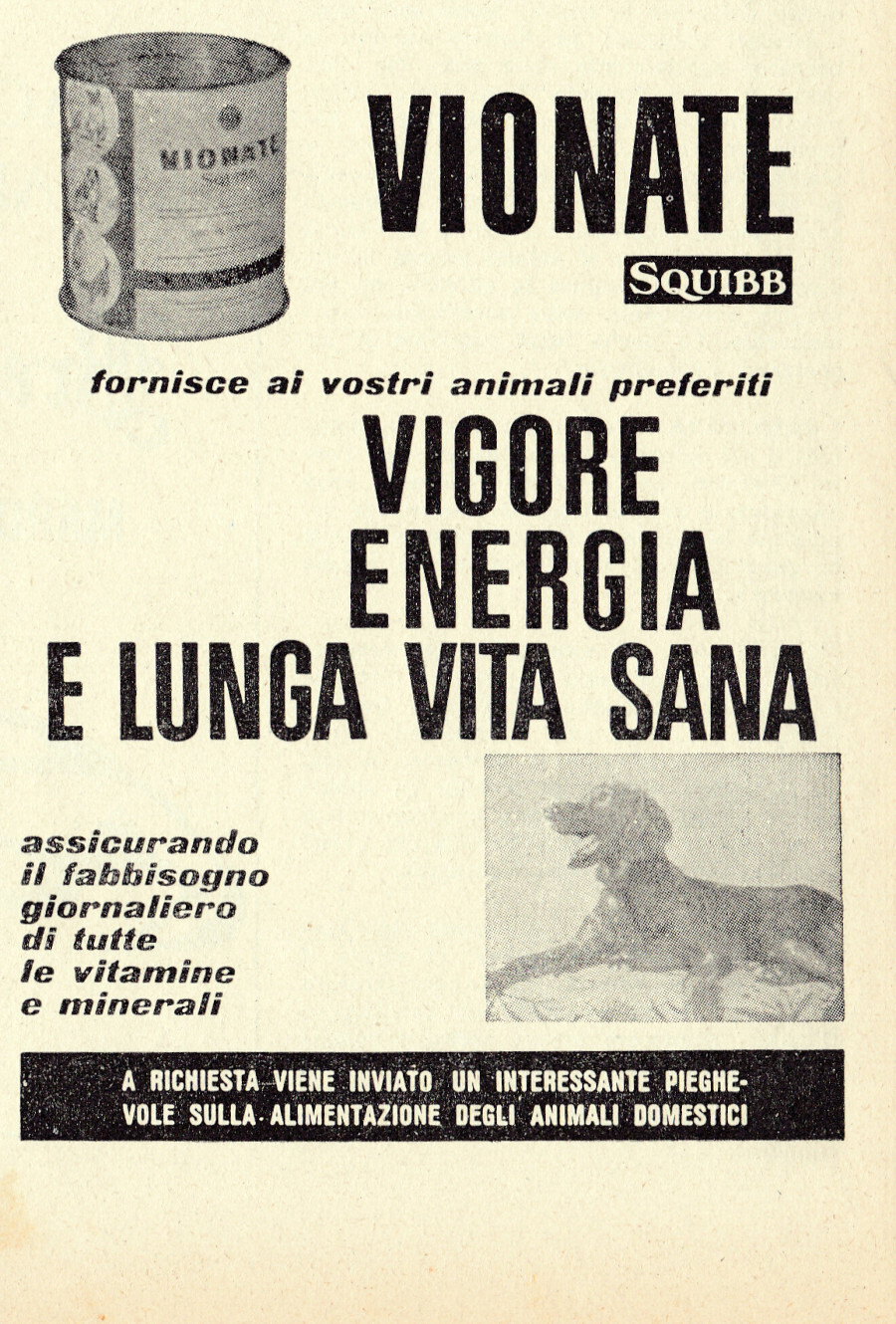 Vionate Squibb integratore per animali. Advertising 1965