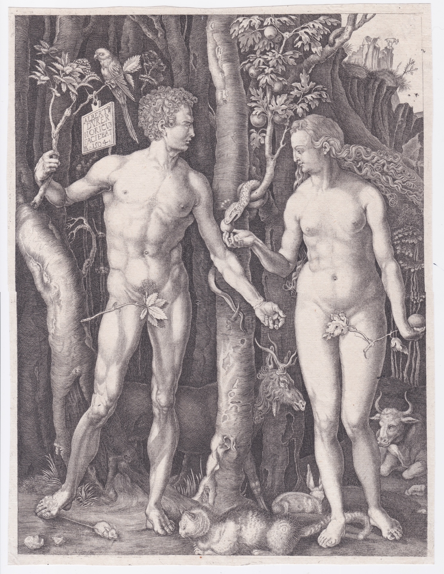 Adamo ed Eva, 1504