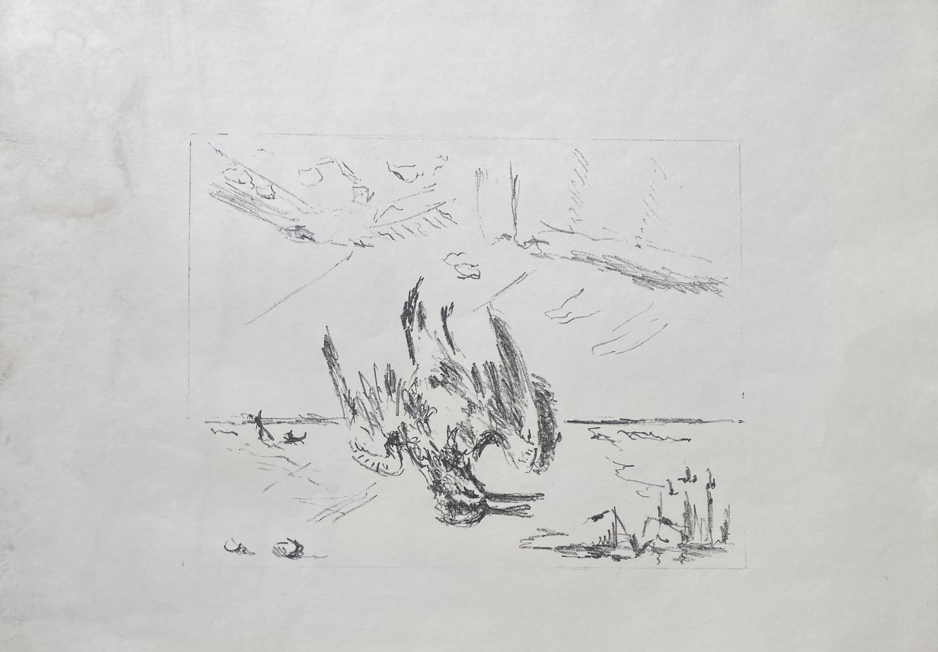Beccaccino, 1940