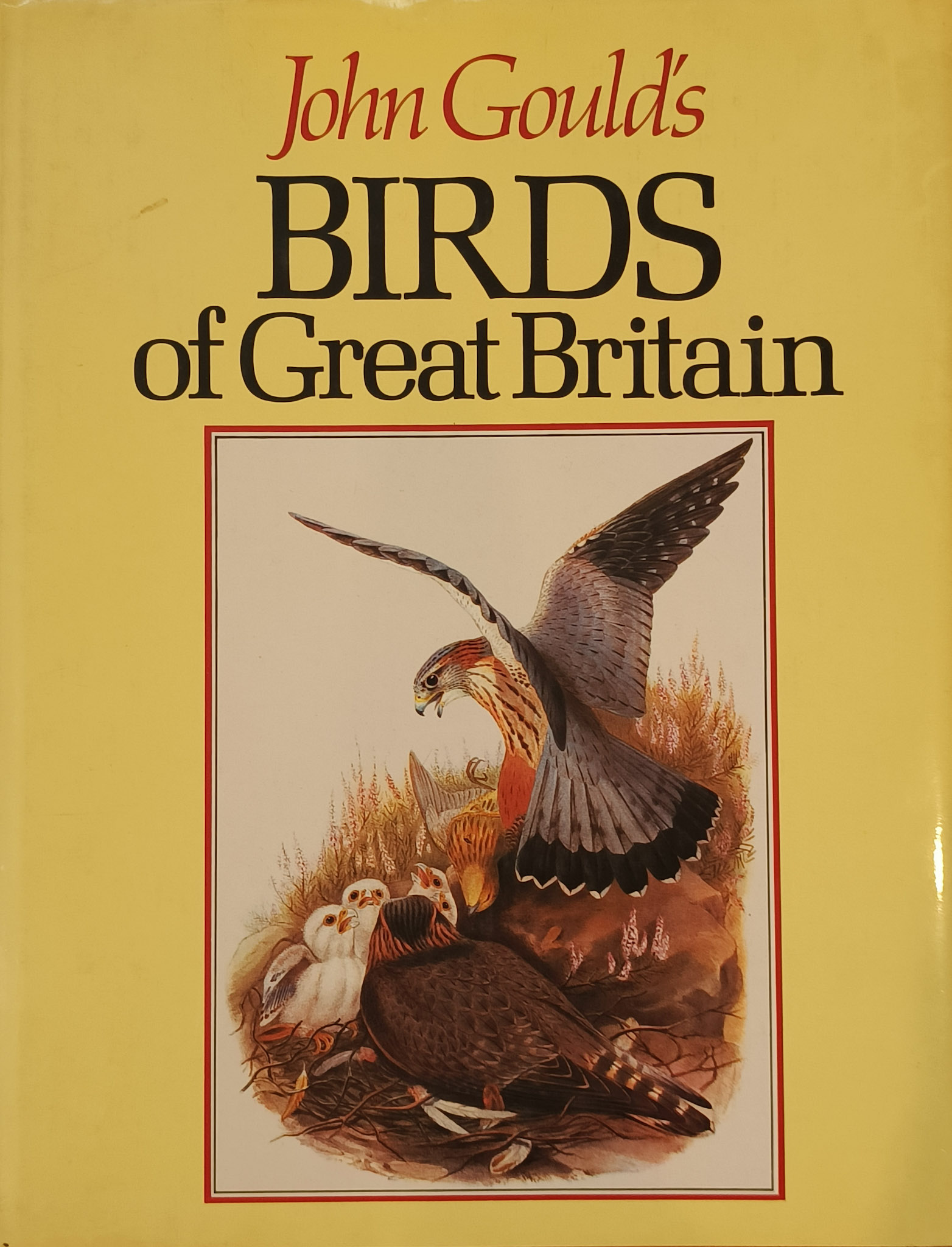 John Gould's Birds of Great Britain