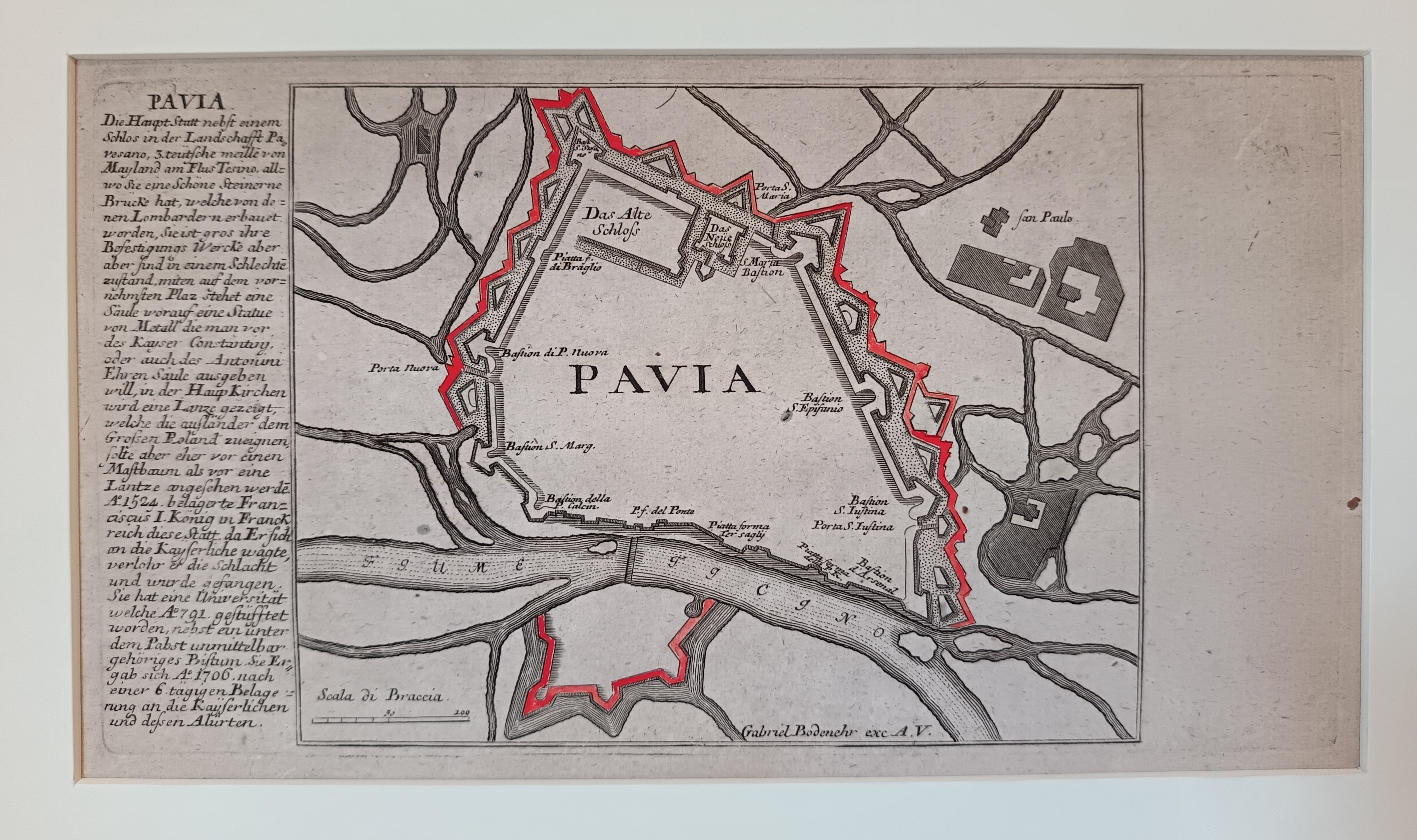 PAVIA