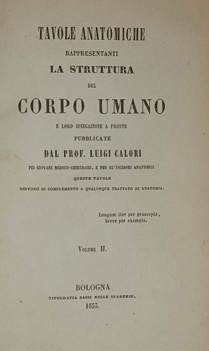 Tavole anatomiche rappresentanti la struttura del corpo umano