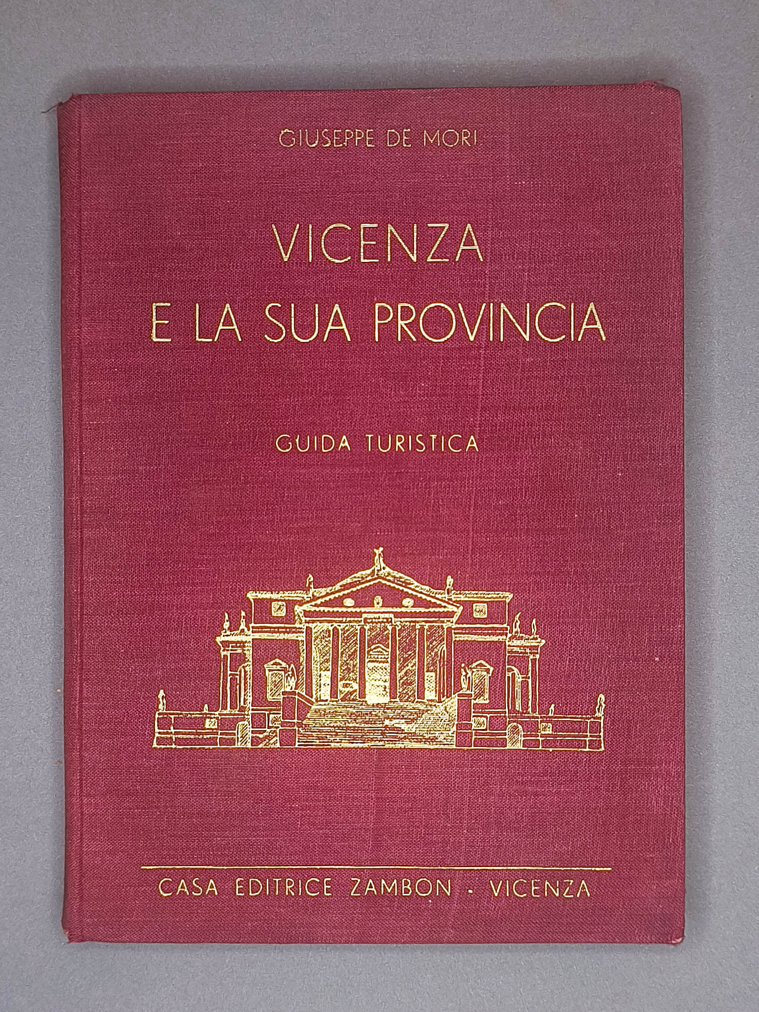 Vicenza e la sua provincia. Guida turistica
