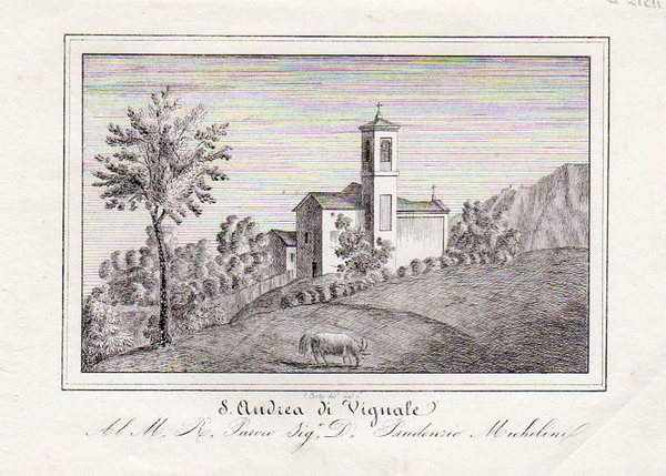 MONTERENZIO - S. Andrea di Vignale