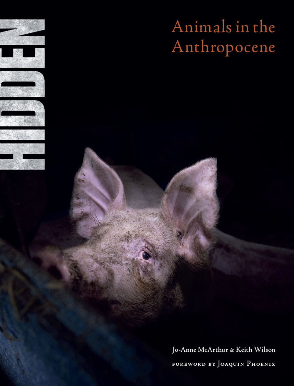 Hidden. Animals in the Anthropocene