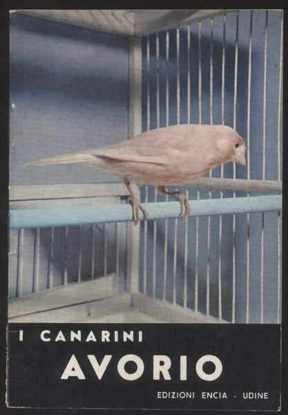 I canarini avorio - Piccola collana dell'allevatore n. 18