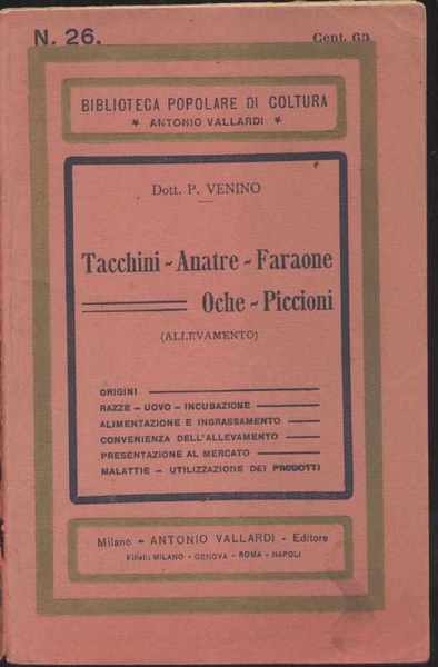 Tacchini - Faraone -Anatre - Oche - Piccioni (Allevamento)