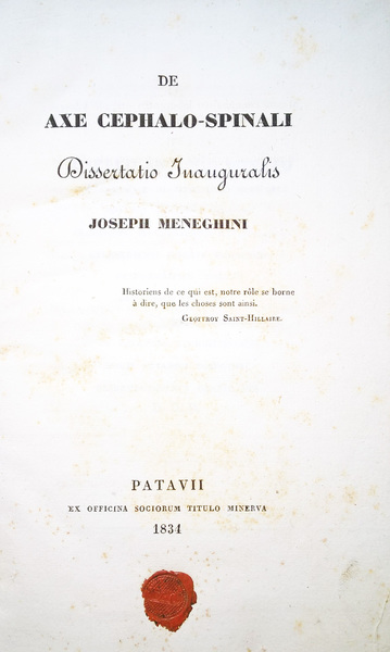 De axe cephalo-spinali dissertatio inauguralis. Joseph Meneghini.