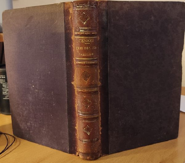 Lezioni su temi del jus familiae