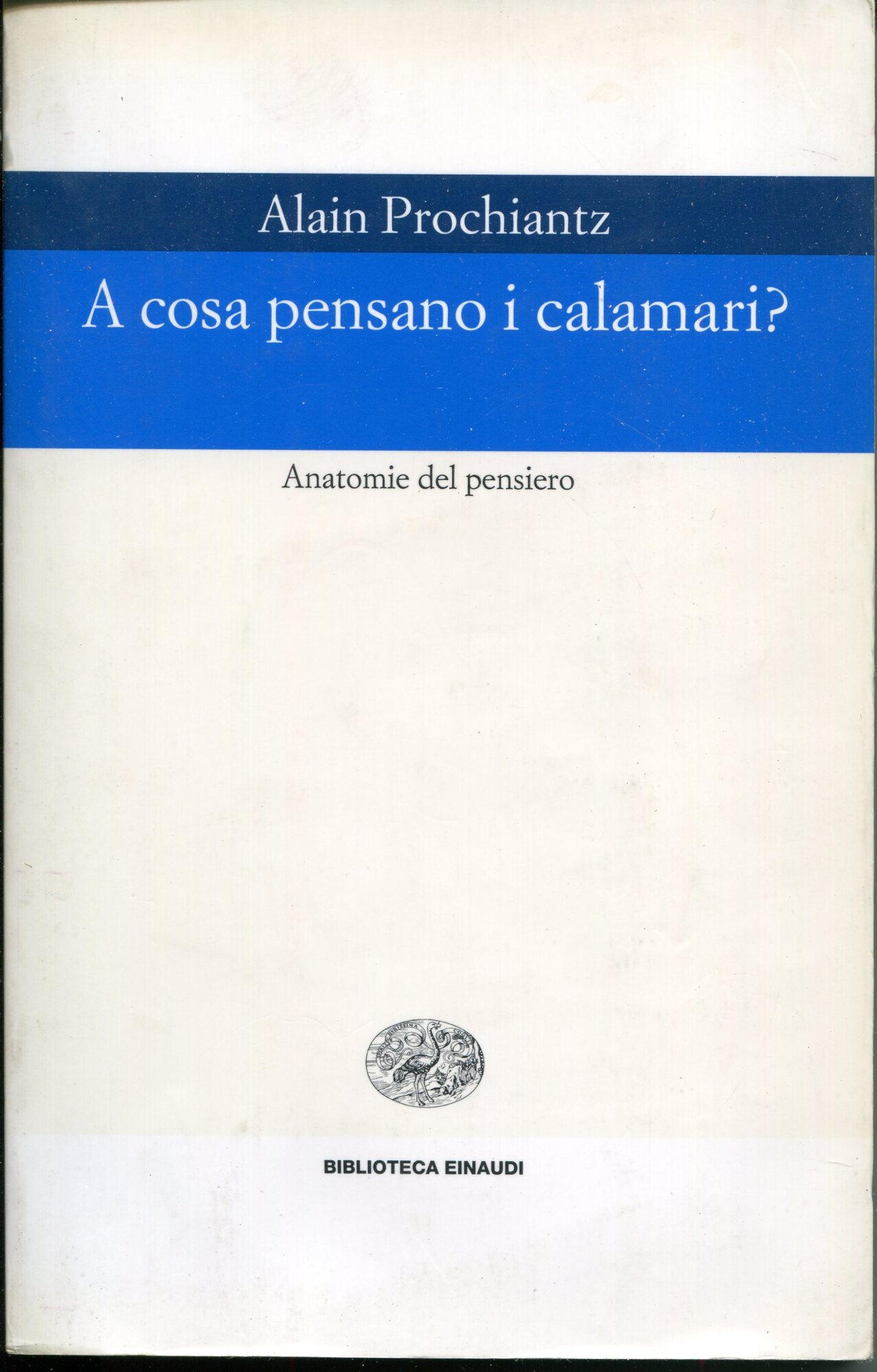 A cosa pensano i calamari? Anatomia del pensiero