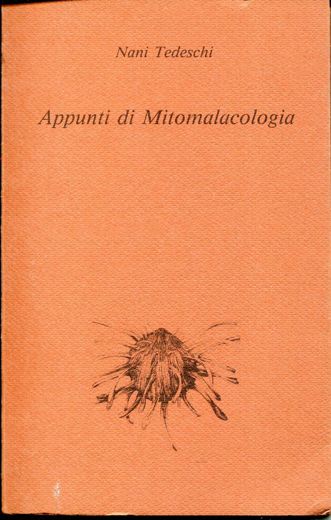 Appunti di mitomalacologia