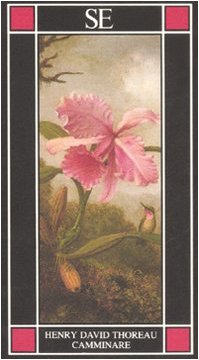 Camminare. A cura di Franco Meli. Traduzione di Maria Antonietta …