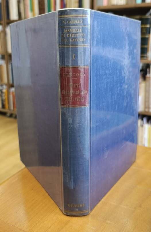 Diritto nordamericano del lavoro