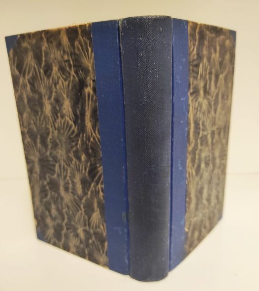 Gordon Pym e altre storie : Traduzione di Delfino Cinelli …