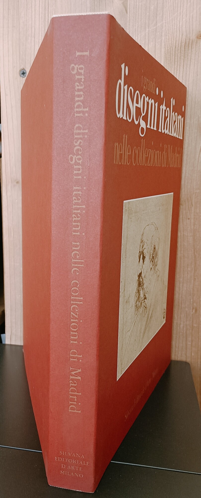 I grandi disegni italiani nelle collezioni di Madrid