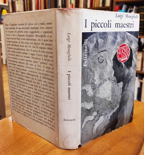 I piccoli maestri : romanzo