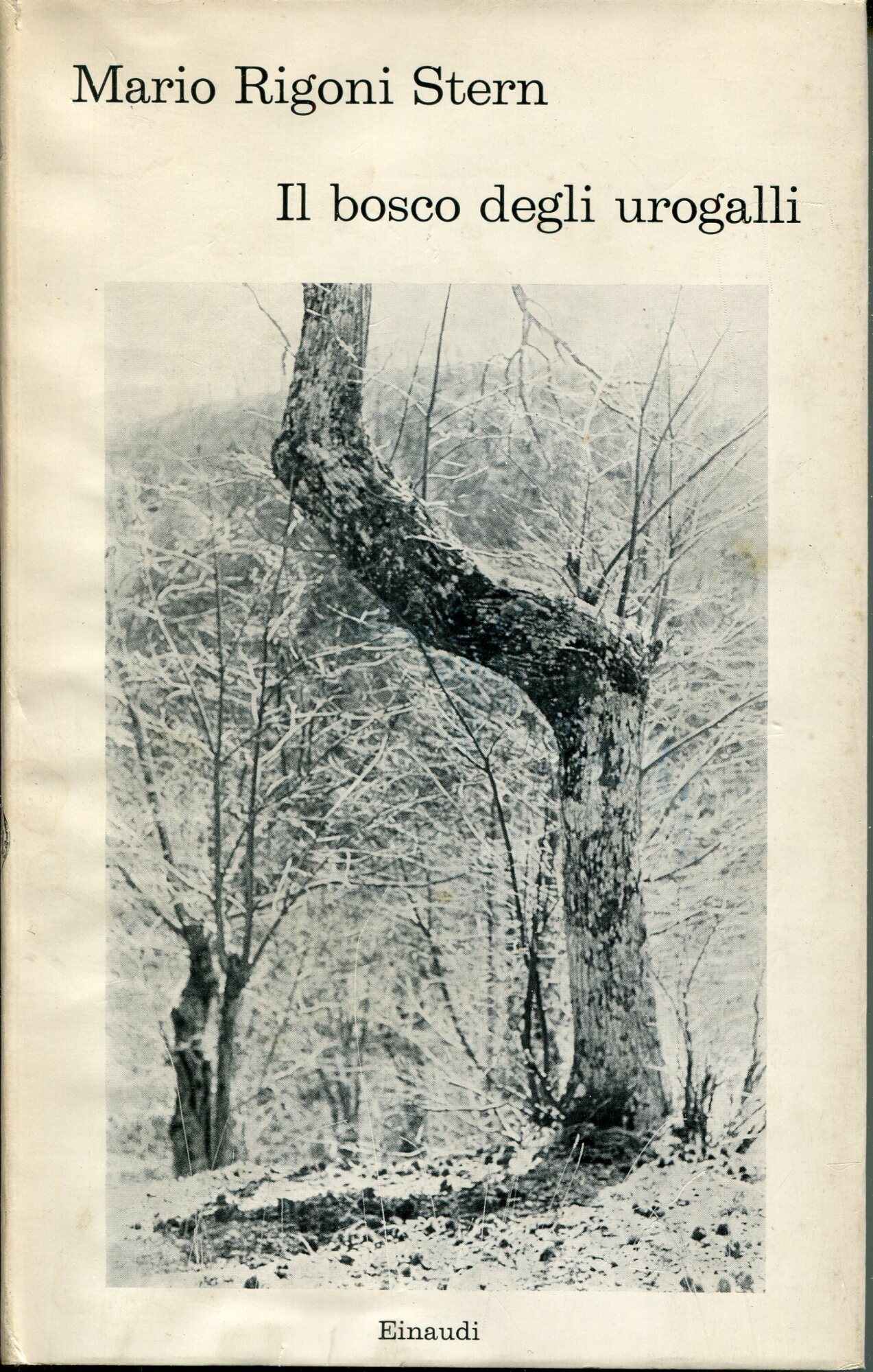 Il bosco degli urogalli