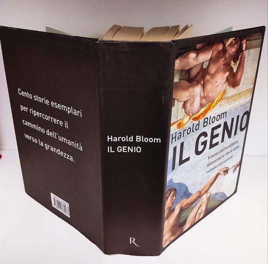 Il genio. Il senso dell'eccellenza attraverso le vite di cento …