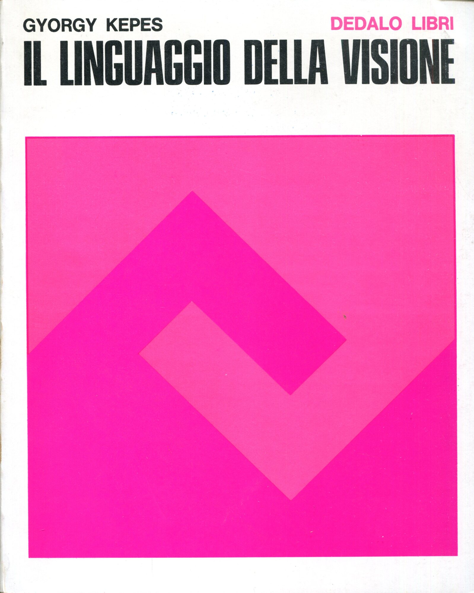 Il linguaggio della visione