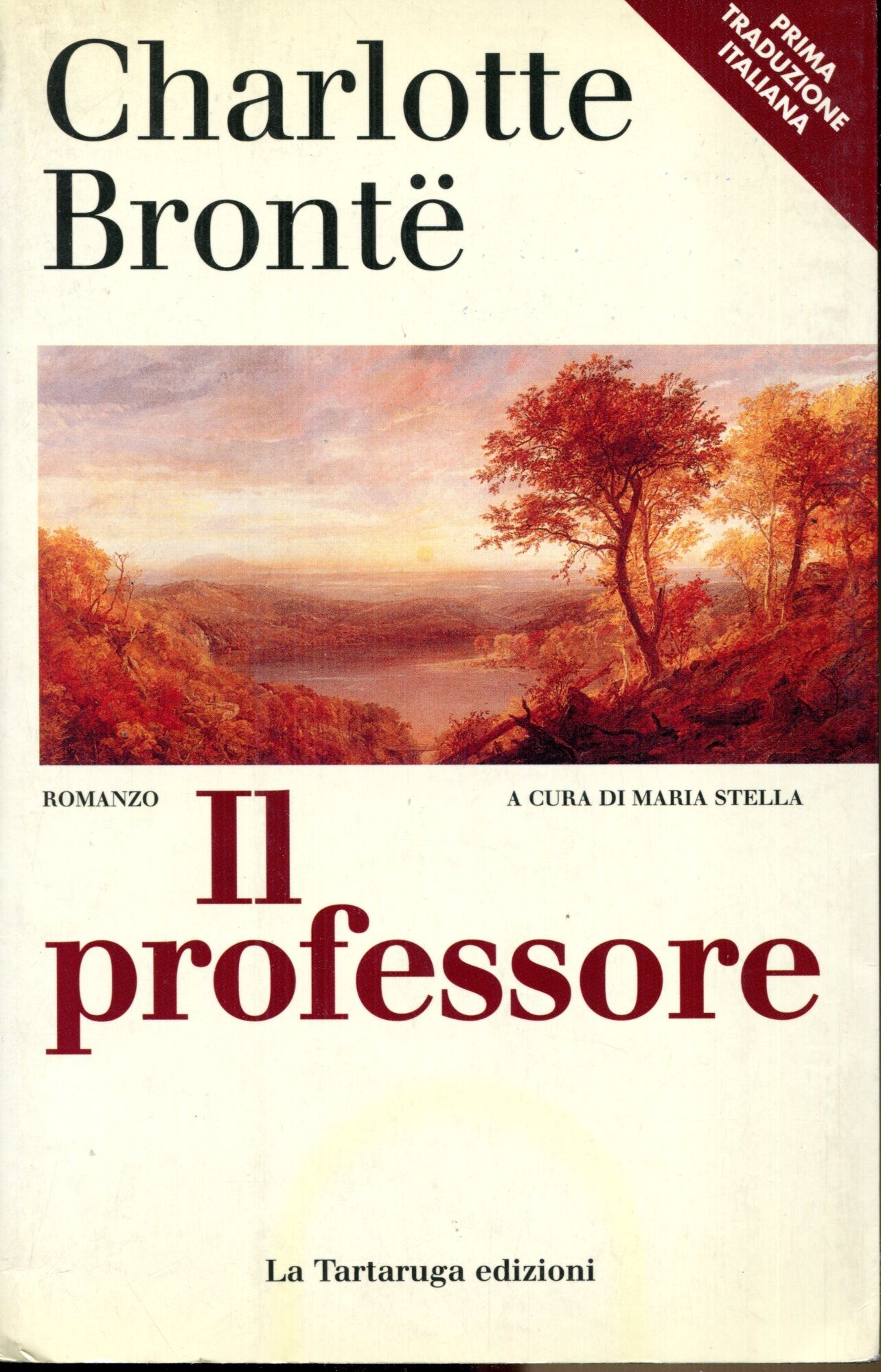Il professore