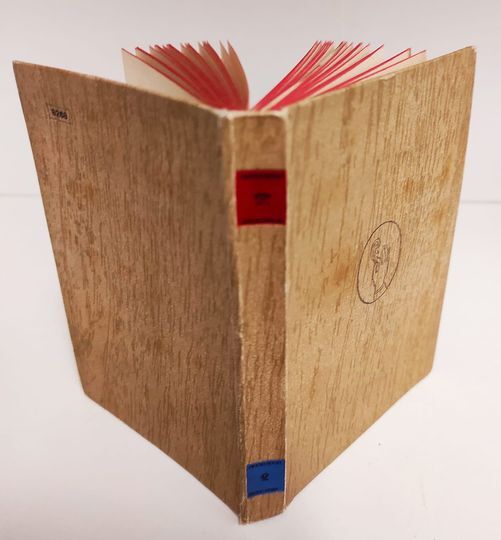 Il toro bianco : racconto