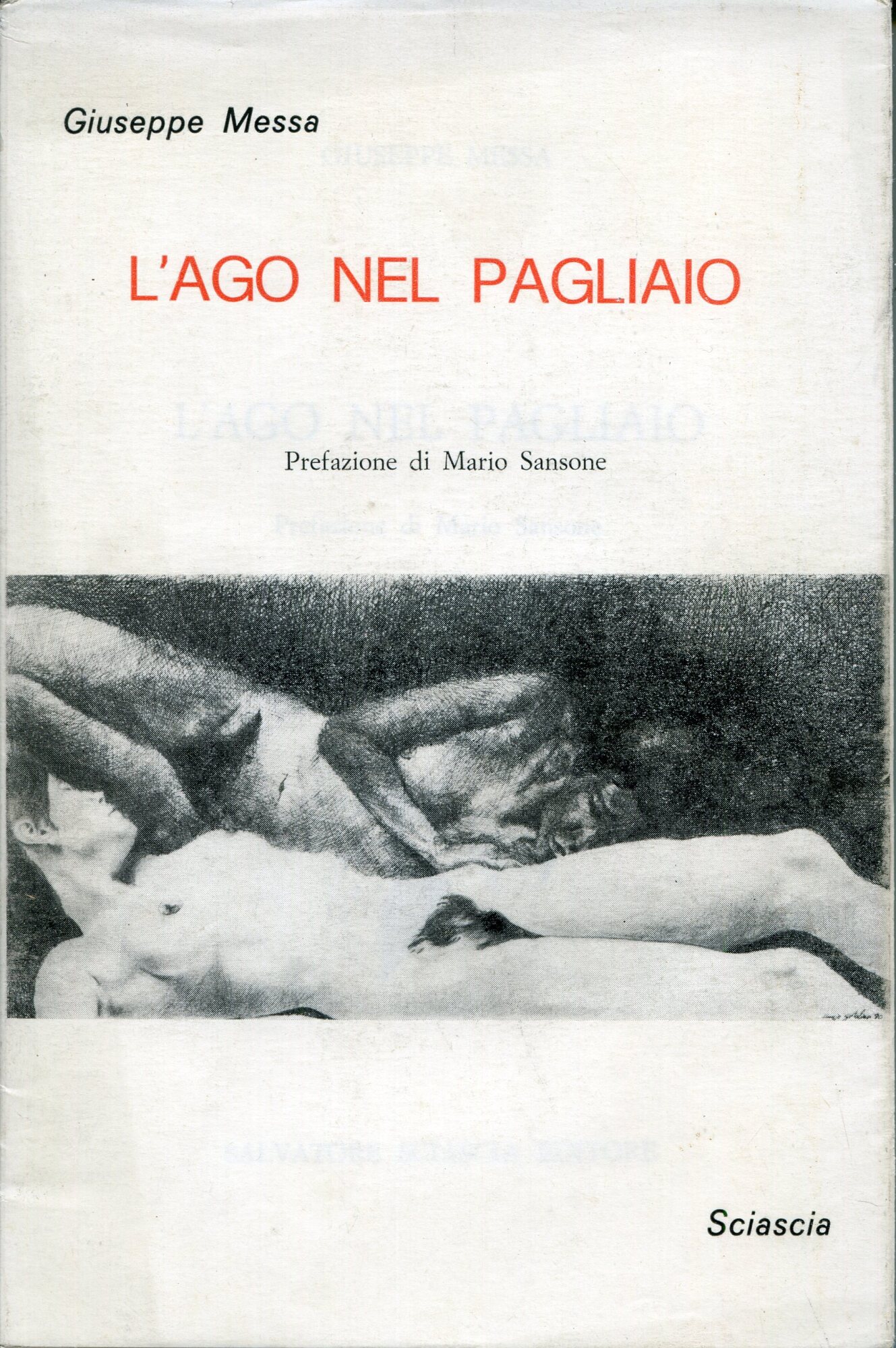 L'ago nel pagliaio