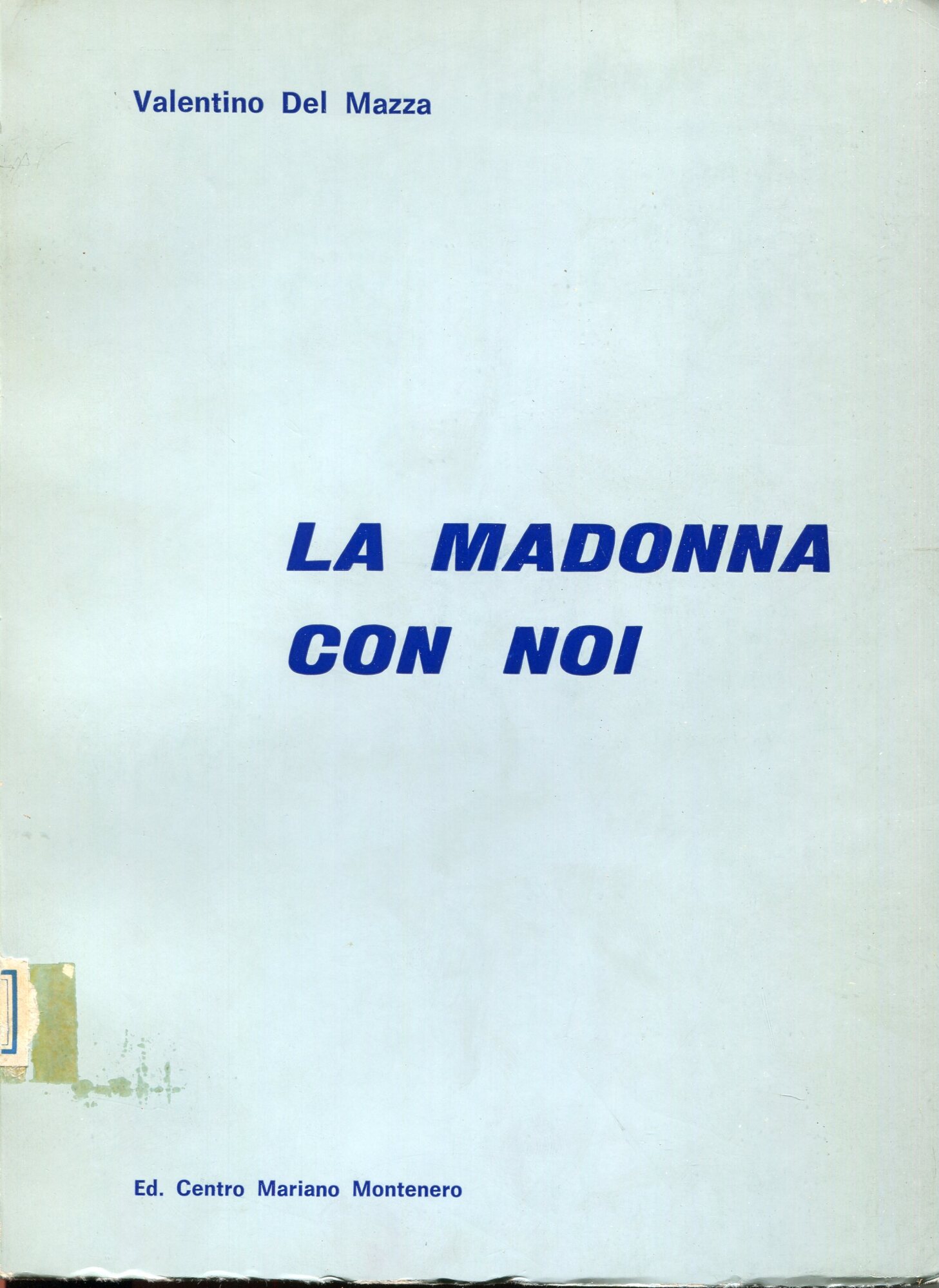 La Madonna con noi : meditazioni e riflessioni mariane dopo …